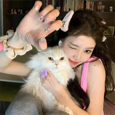 帕纳大师的魔幻冒险